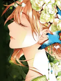 旧书店的夏天